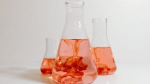 Red liquid experiments with Erlenmeyer flasks in a laboratory setting.